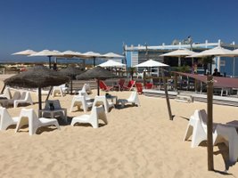 Oásis Azul | Ilha da Armona | Eastern-Algarve | Portugal